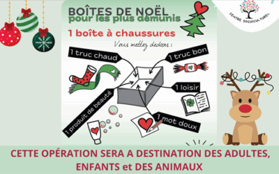 Opération Boîte de Noël